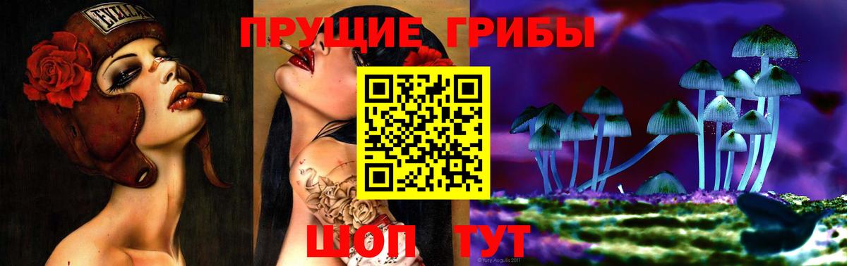 Светлоград  Псилоцибиновые грибы Psilocybe  Вход с VPN 